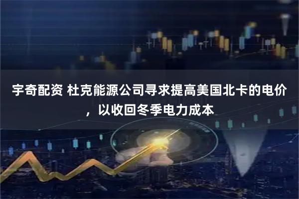 宇奇配资 杜克能源公司寻求提高美国北卡的电价，以收回冬季电力成本